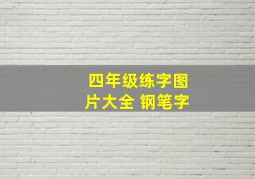 四年级练字图片大全 钢笔字